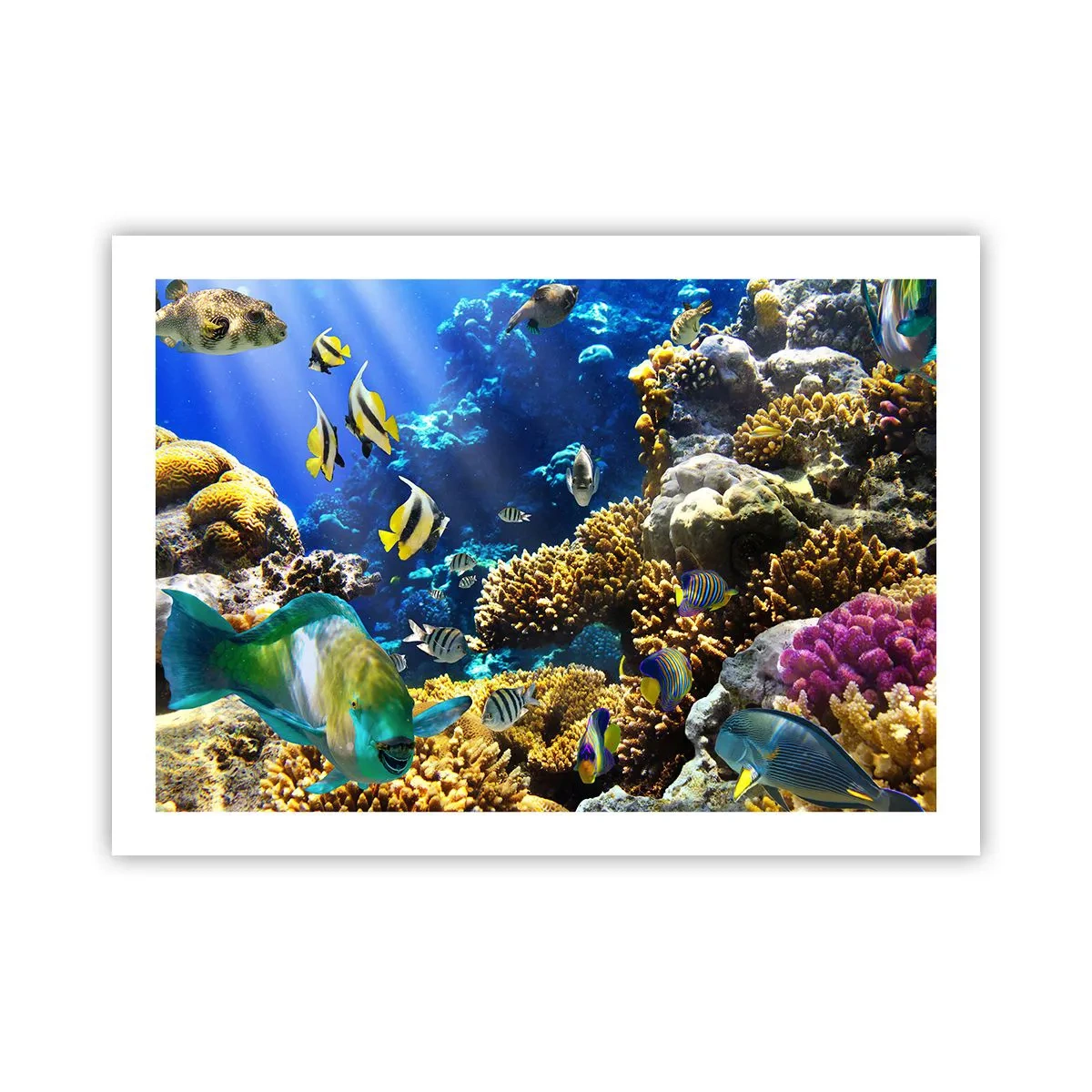 Affiche - Poster - Beaucoup de circulation sur la route des vacances - 70x50 cm