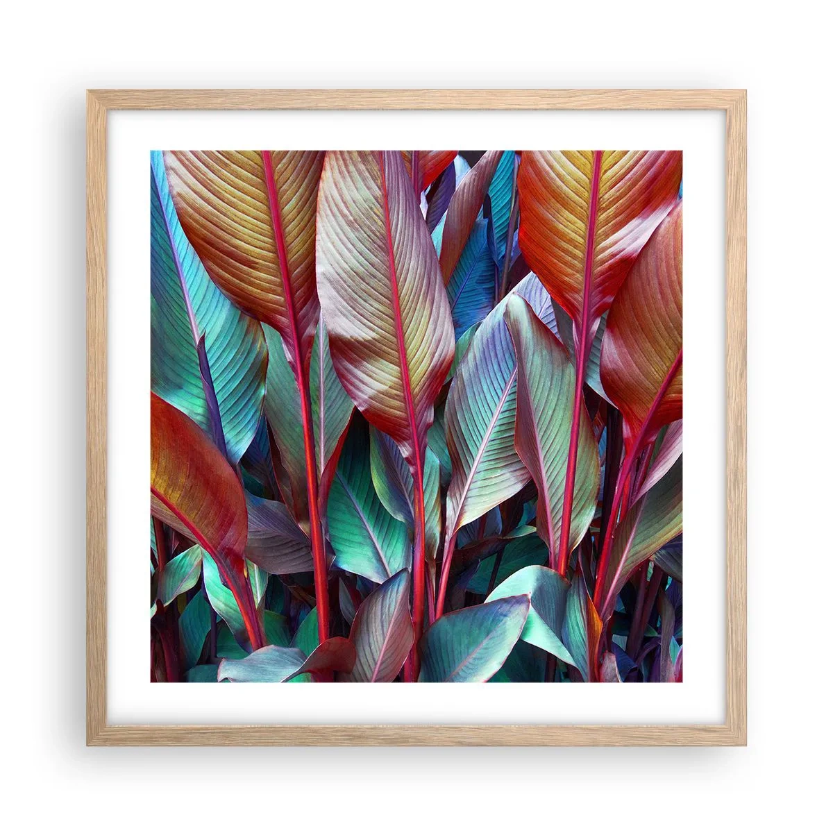 Affiche dans un chêne clair - Poster - Un fourré coloré - 50x50 cm