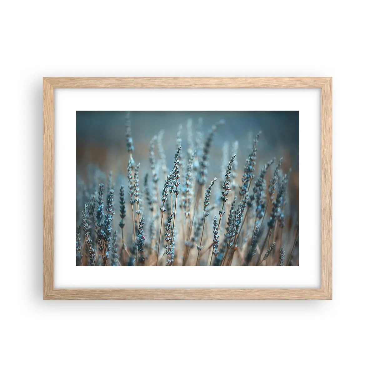 Affiche dans un chêne clair - Poster - Tige odorante - 40x30 cm