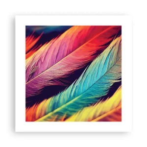 Affiche - Poster - Arc-en-ciel de plumes - 40x40 cm