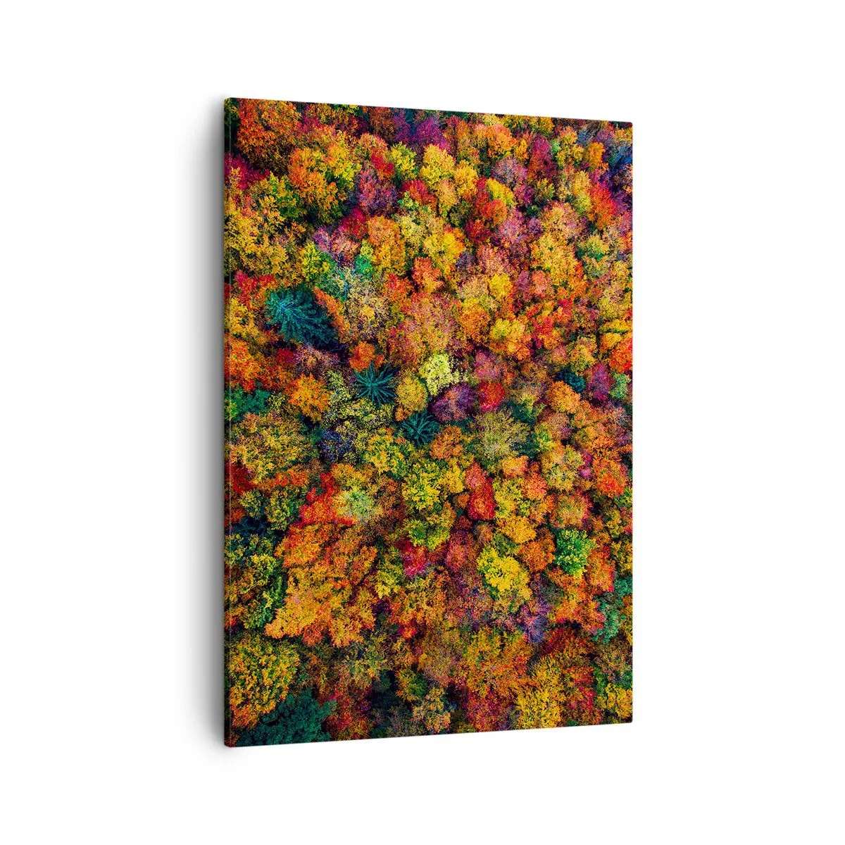 Impression sur toile - Image sur toile - Couronnes d'arbres colorées dans la palette d'automne - 50x70cm - Bouquet d'arbres automnal - Décoration murale moderne pour le salon et la chambre ARTTOR