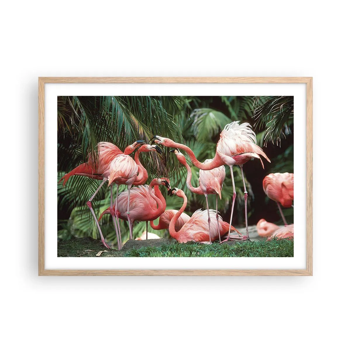 Affiche dans un chêne clair - Poster - Potins d'après-midi - 70x50 cm