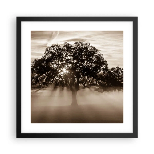 Affiche dans un cadre noir - Poster - Arbre de bonnes nouvelles - 40x40 cm