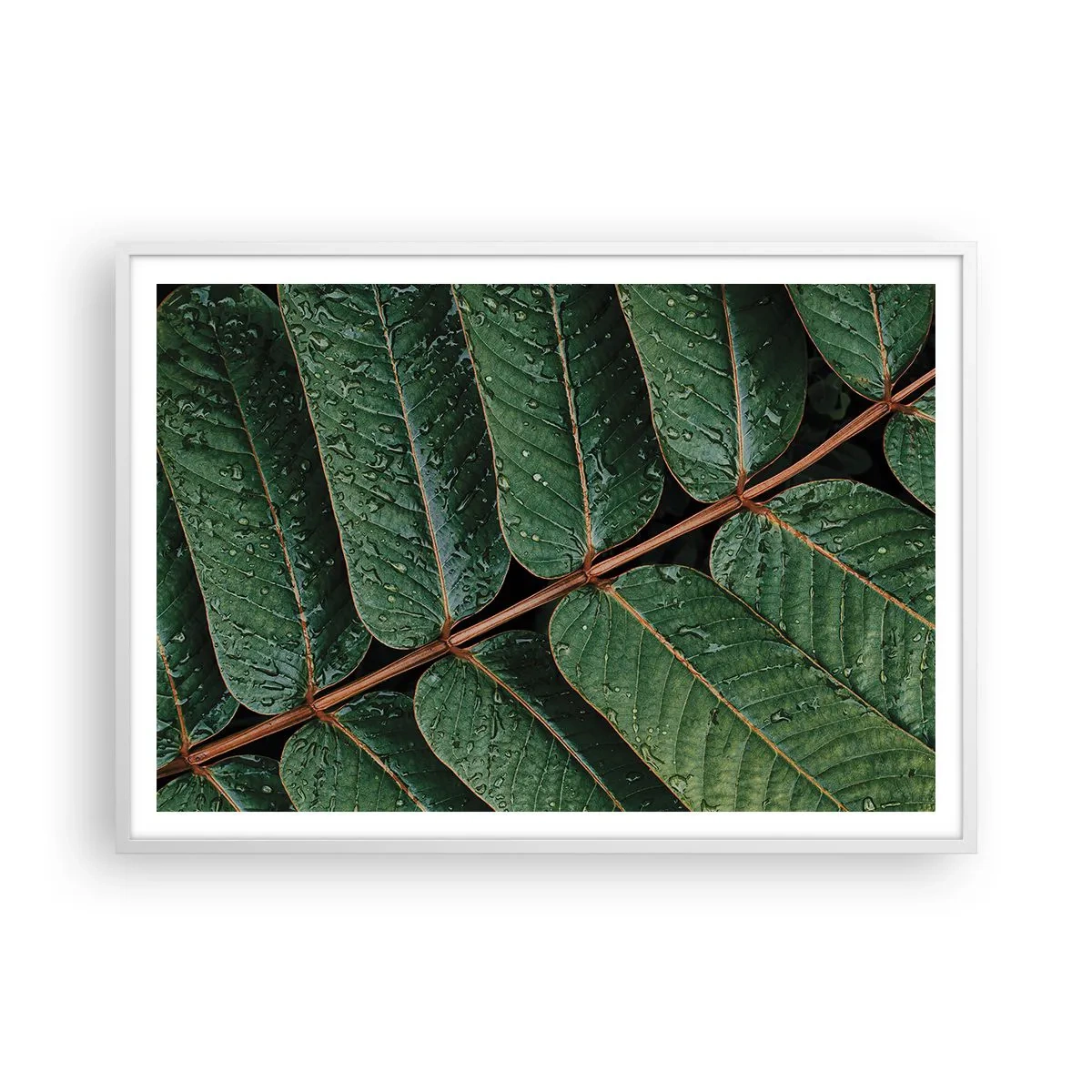 Affiche dans un cadre blanc - Poster - Au rythme de la verdure - 100x70 cm