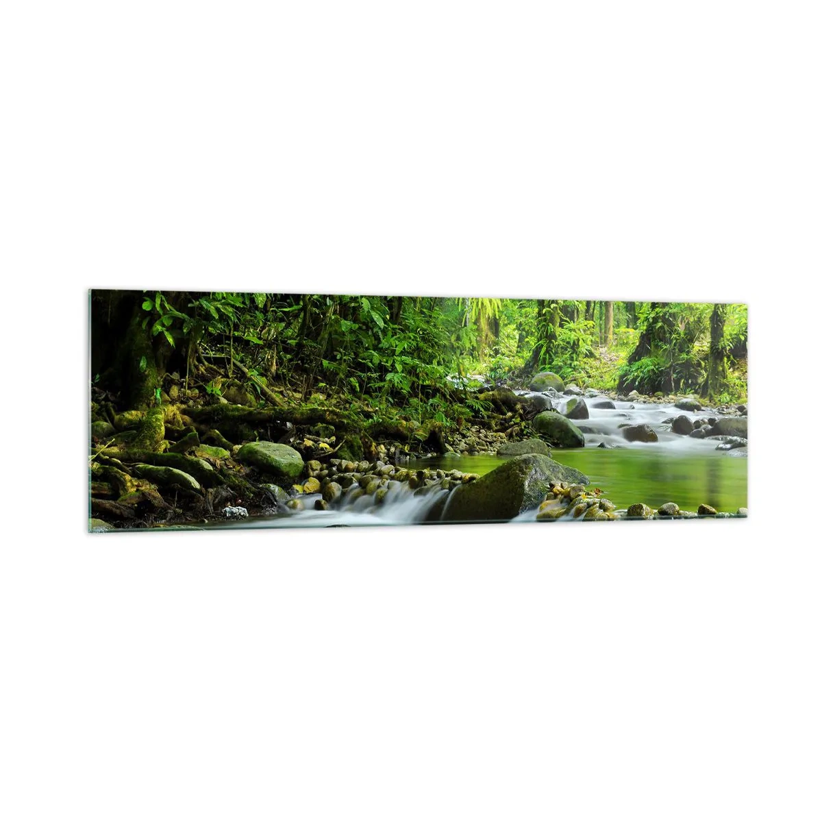 Impression sur verre - Image sur verre - Un ruisseau dans une forêt tropicale luxuriante - 160x50cm - Nager dans un océan de verdure - Décoration murale moderne pour le salon et la chambre ARTTOR