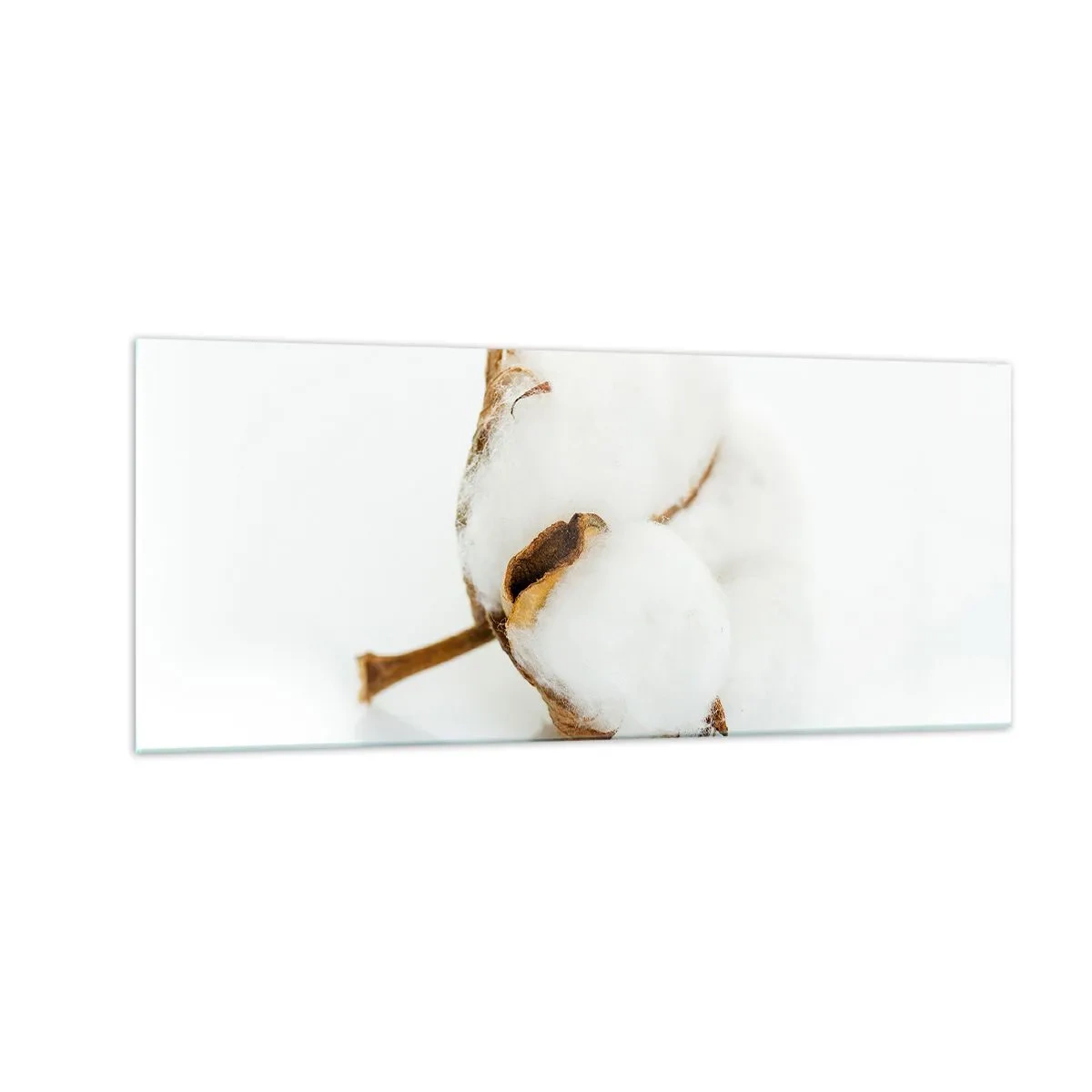 Impression sur verre - Image sur verre - Doux par nature - 100x40 cm