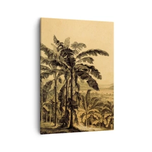 Impression sur toile - Image sur toile - Dessin de bananiers sur fond de paysage tropical - 50x70cm - Dans un climat colonial - Décoration murale moderne pour le salon et la chambre ARTTOR
