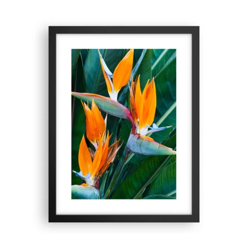 Affiche dans un cadre noir - Poster - Est-ce une fleur, est-ce un oiseaux? - 30x40 cm