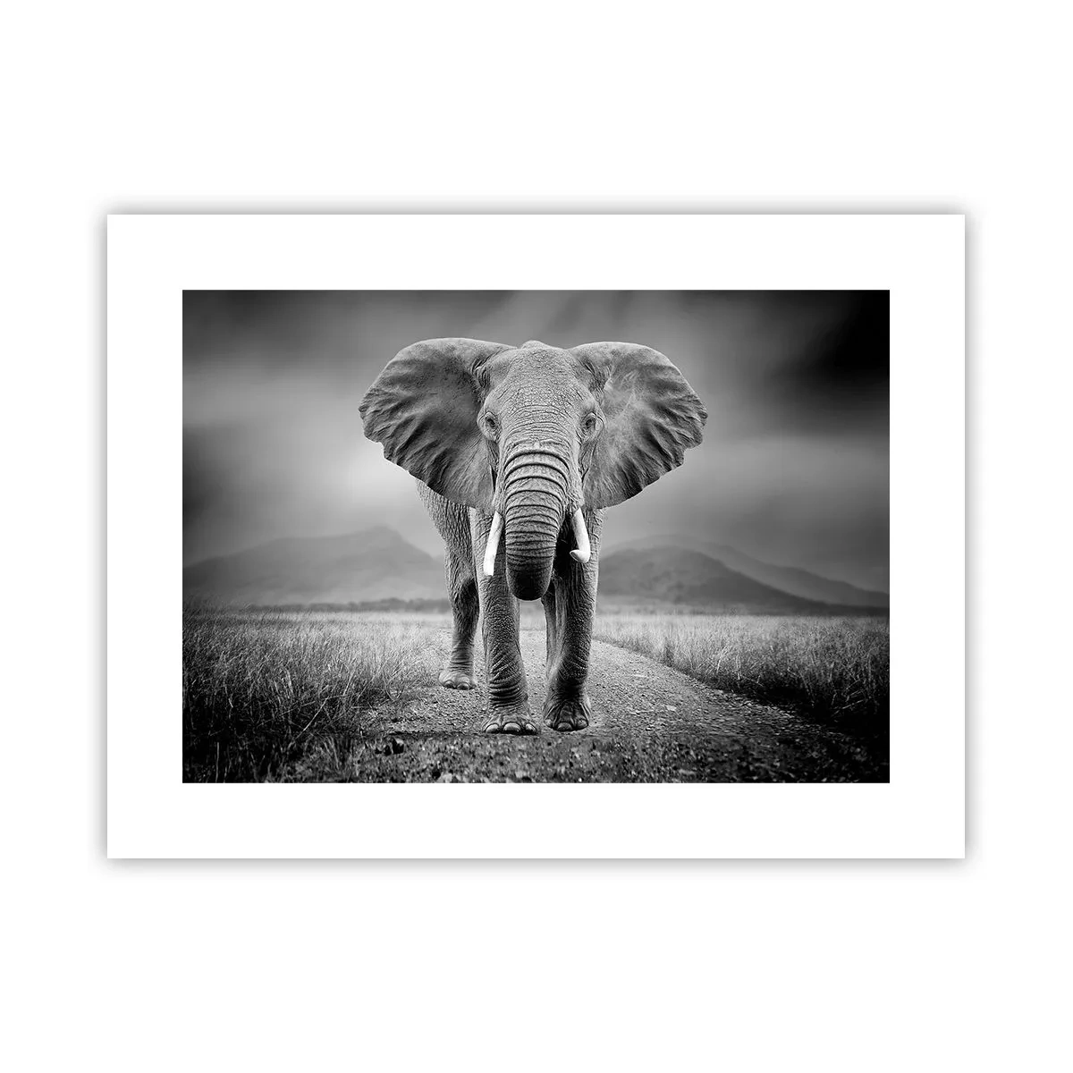 Affiche - Poster - Les hôtes vous saluent - 40x30 cm