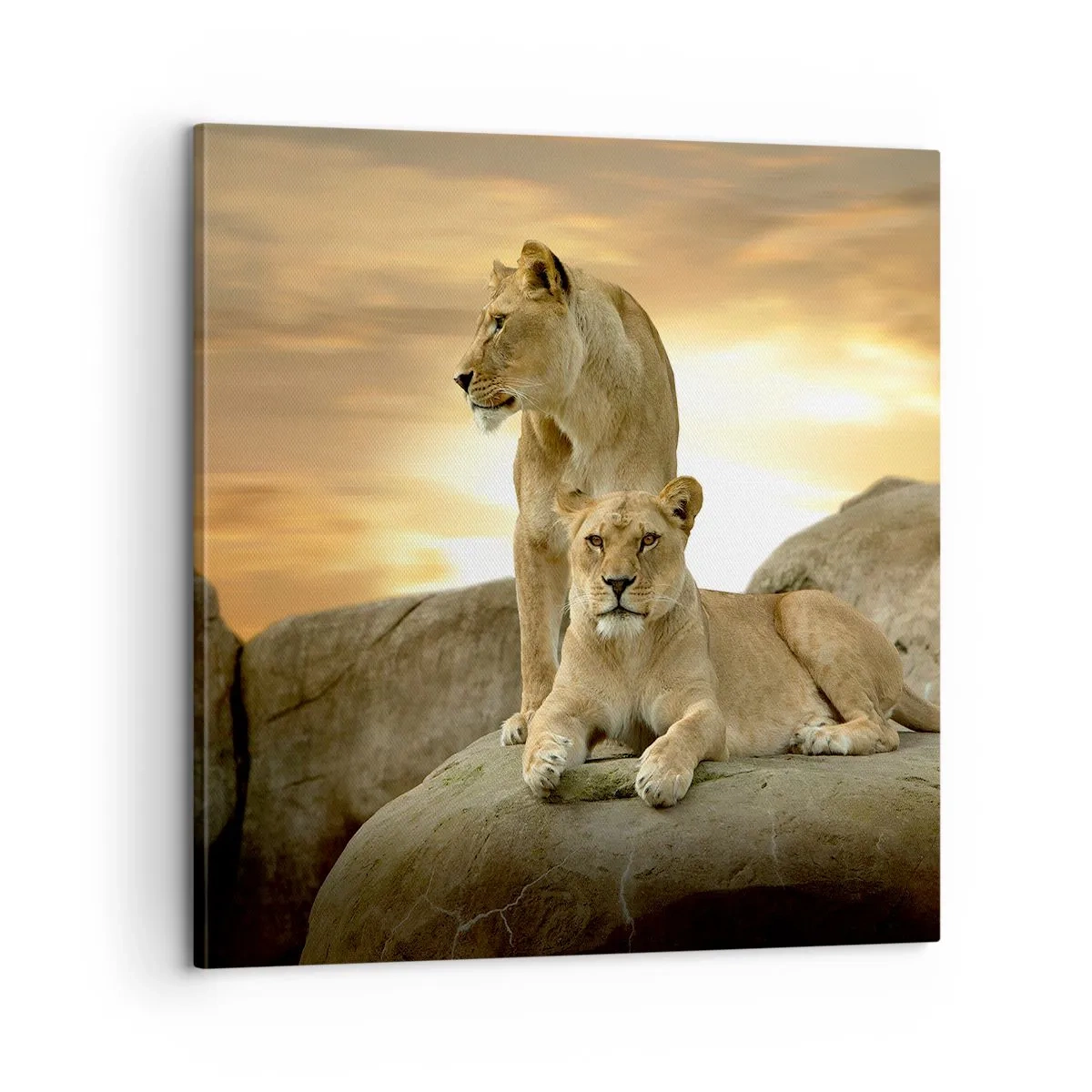 Impression sur toile - Image sur toile - Majesté royale - 60x60 cm