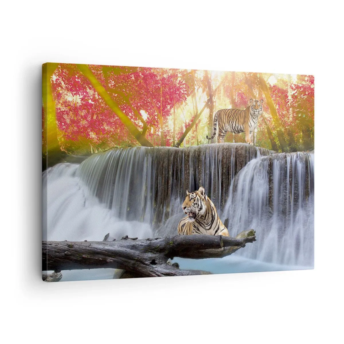 Impression sur toile - Image sur toile - Tigres près d'une cascade dans la forêt d'automne - 70x50cm - Paysage surréaliste - Décoration murale moderne pour le salon et la chambre ARTTOR