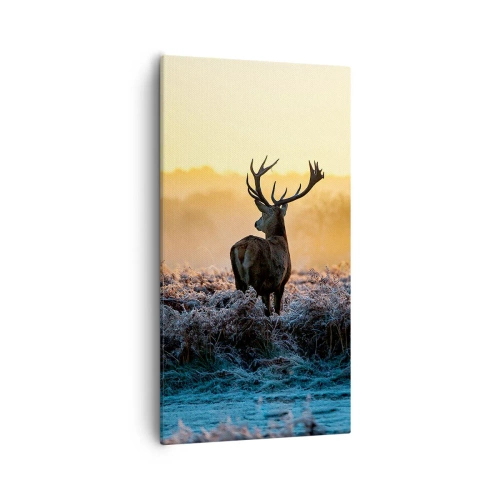 Impression sur toile - Image sur toile - Couronné pour sa succession - 55x100 cm