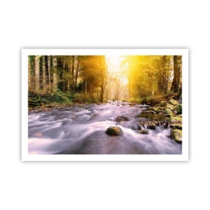 Affiche - Poster - Malachite dans un cadre argent et or - 91x61 cm