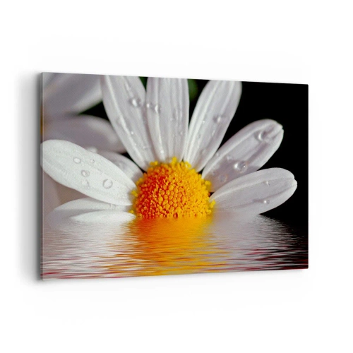 Impression sur toile - Image sur toile - Une marguerite blanche avec des gouttes d'eau immergées dans un reflet d'eau - 100x70cm - Le soleil levant des marguerites - Décoration murale moderne pour le salon et la chambre ARTTOR