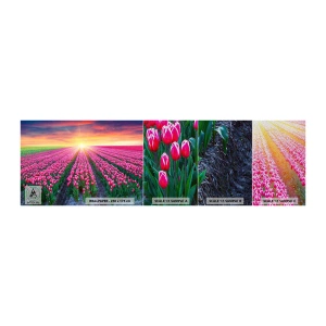 Échantillon de Papier Peint Premium Sand - Ferme de la beauté - Fleurs, Tulipes, Coucher de soleil - 100x30 cm