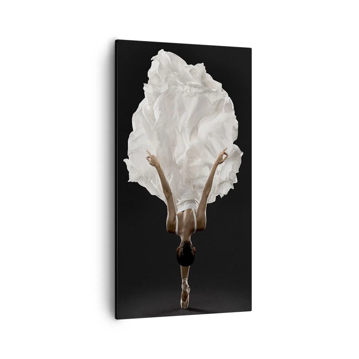 Impression sur toile - Image sur toile - Ceinture inhabituelle - 55x100 cm