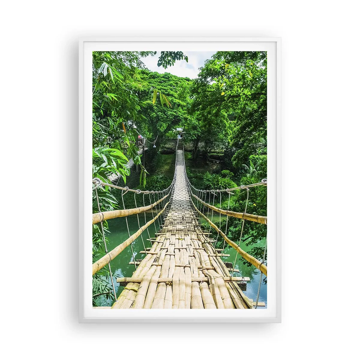 Affiche dans un cadre blanc - Poster - Pont de singe en pleine nature - 70x100 cm