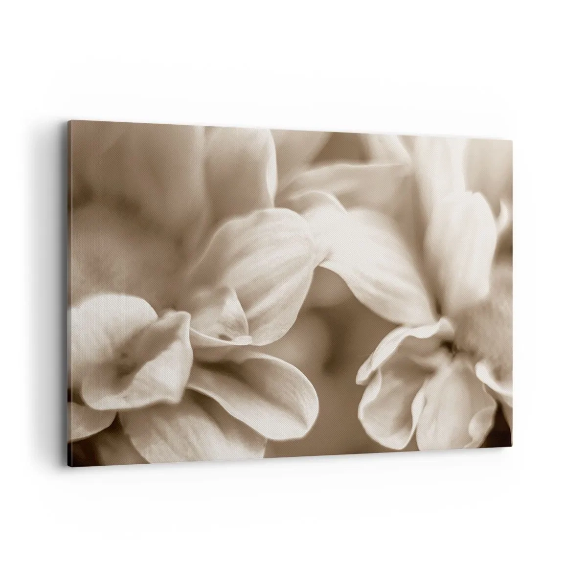 Impression sur toile - Image sur toile - Gros plan de fleurs dans un ton sépia délicat avec des contours doux - 100x70cm - Doux comme un sourire - Décoration murale moderne pour le salon et la chambre ARTTOR