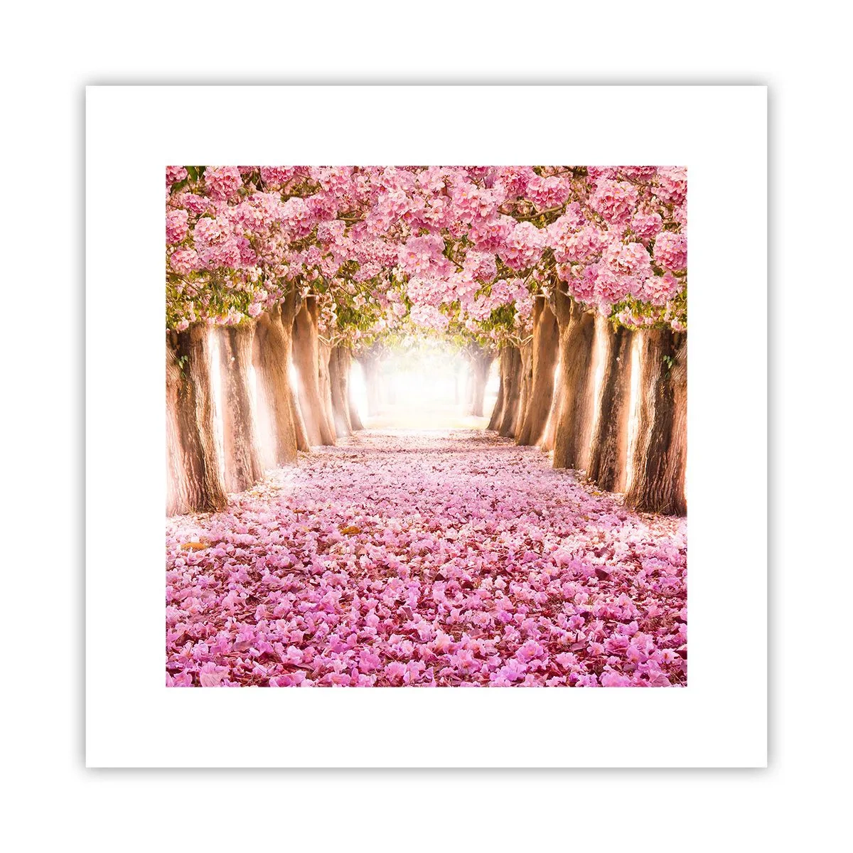Affiche - Poster - La route du paradis - 30x30 cm