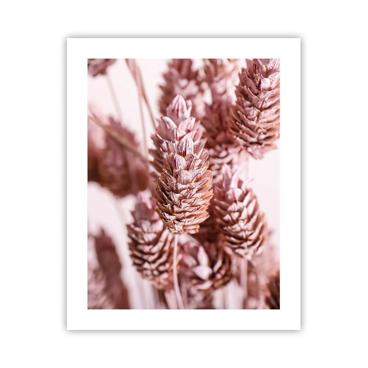 Affiche - Poster - Apparemment discret - 40x50 cm
