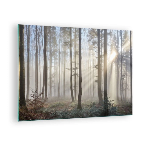 Impression sur verre - Image sur verre - Les rayons du soleil du matin pénètrent la forêt brumeuse - 70x50cm - Le brouillard s'est aussi réveillé - Décoration murale moderne pour le salon et la chambre ARTTOR
