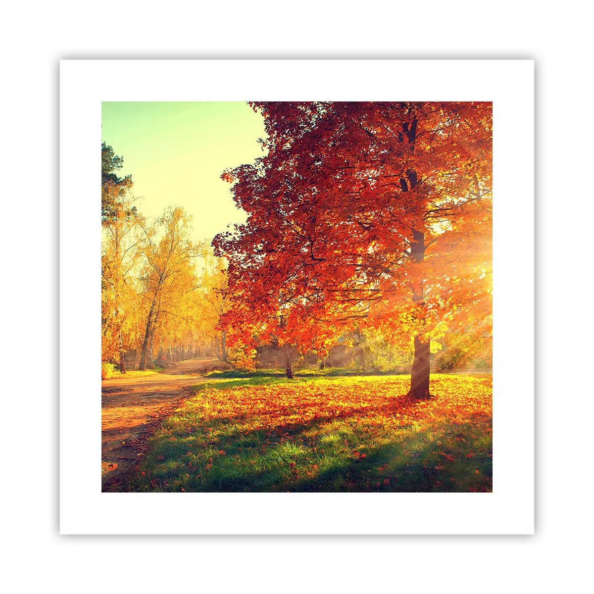Affiche - Poster - Le roux est beau - 40x40 cm