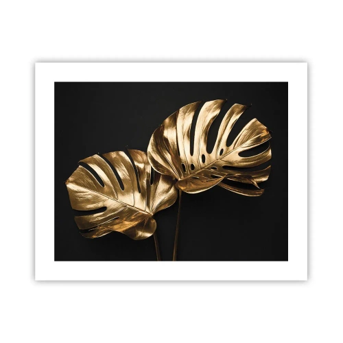 Affiche - Poster - Les trésors de la nature - 50x40 cm