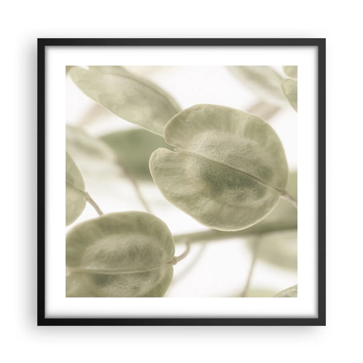 Affiche dans un cadre noir - Poster - Au commencement il y avait des feuilles... - 50x50 cm