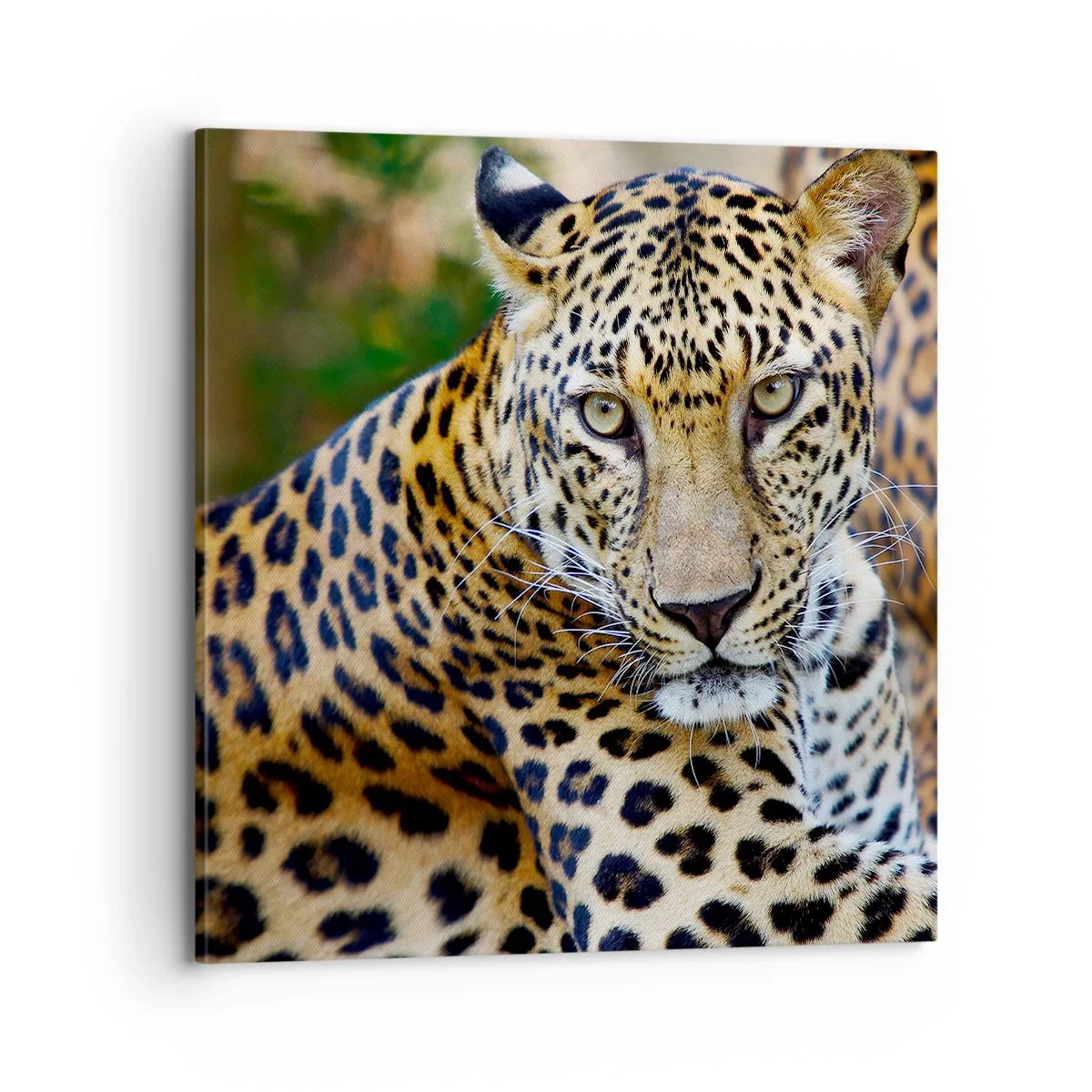 Impression sur toile - Image sur toile - Sauvage et calme - 70x70 cm