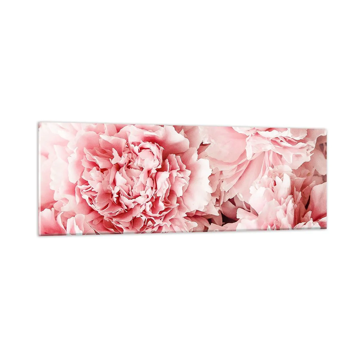 Impression sur verre - Image sur verre - Rêve rose - 90x30 cm