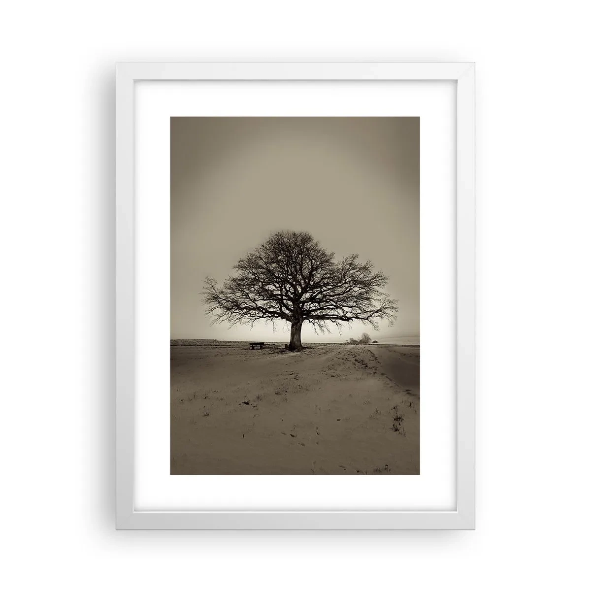 Affiche dans un cadre blanc - Poster - D'ici à l'éternité - 30x40 cm