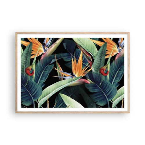 Affiche dans un chêne clair - Poster - Fleurs flamboyantes des tropiques - 100x70 cm