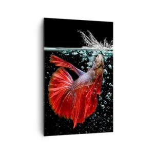 Impression sur toile - Image sur toile - Un magnifique betta dans l'eau sur un fond sombre - 80x120cm - Vous avez trois vœux - Décoration murale moderne pour le salon et la chambre ARTTOR