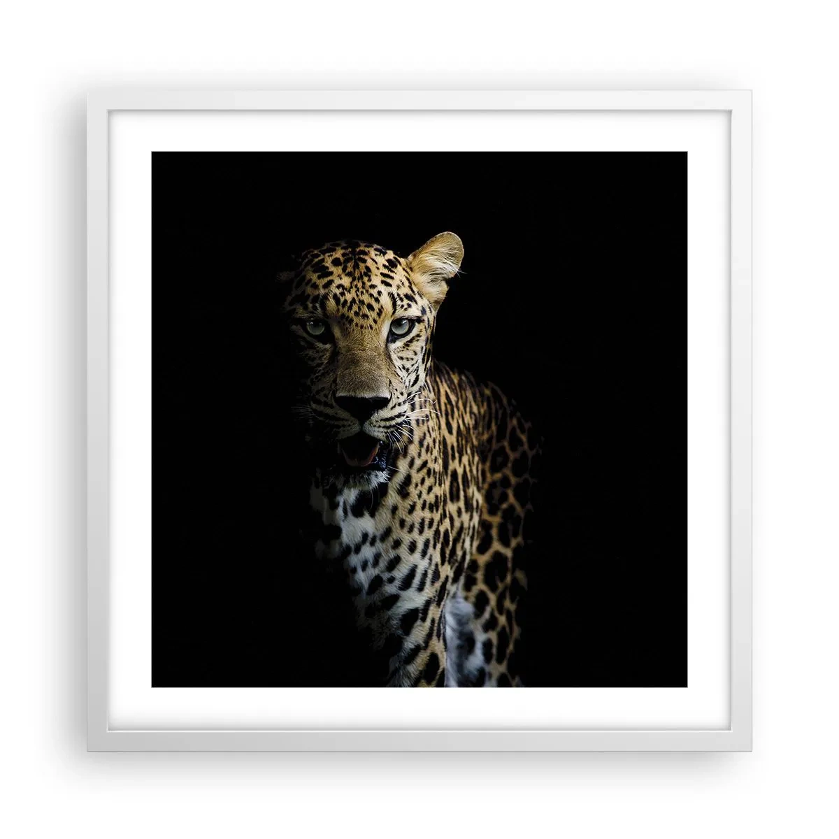 Affiche dans un cadre blanc - Poster - Beauté sombre - 50x50 cm