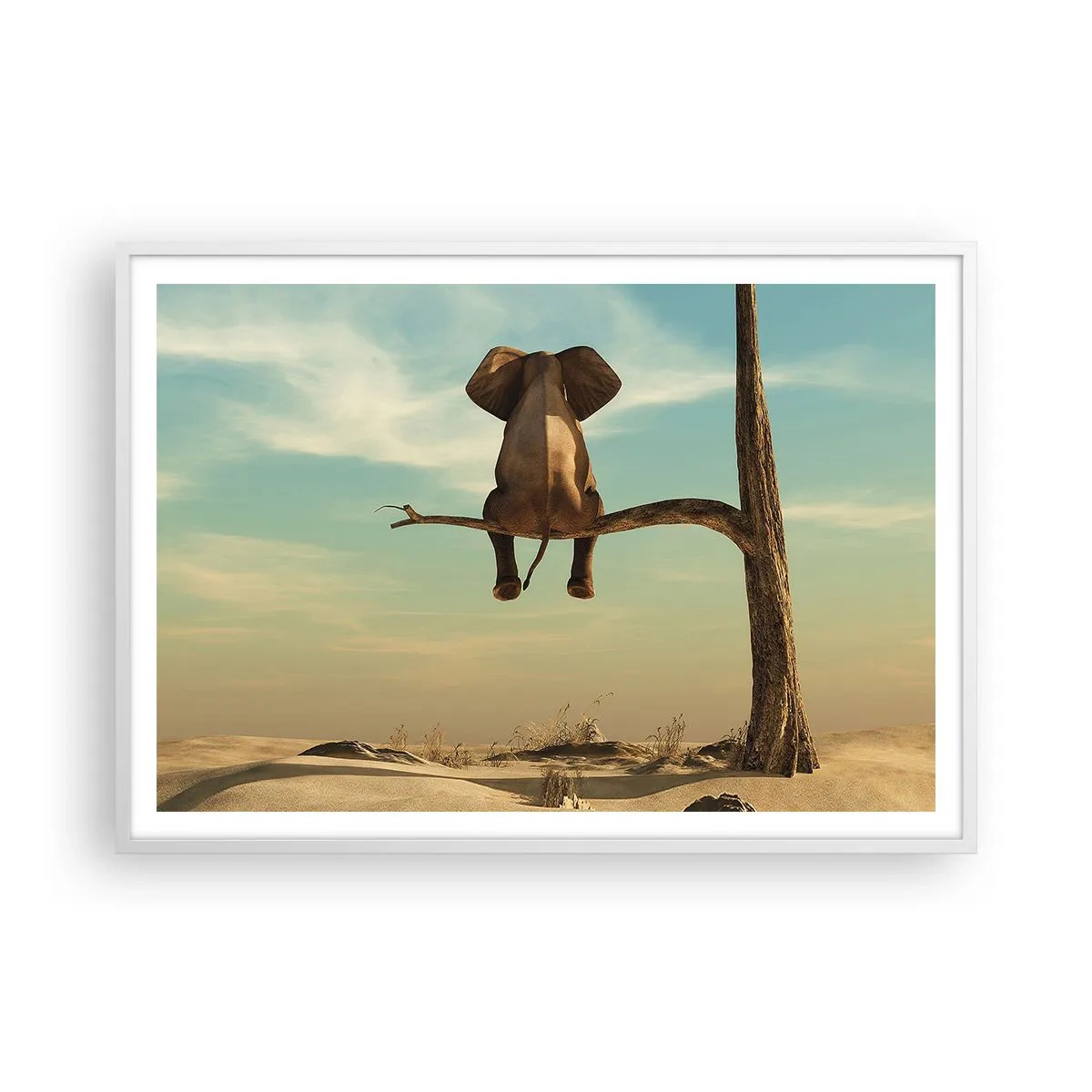 Affiche dans un cadre blanc - Poster - Nouveau point de vue - 100x70 cm