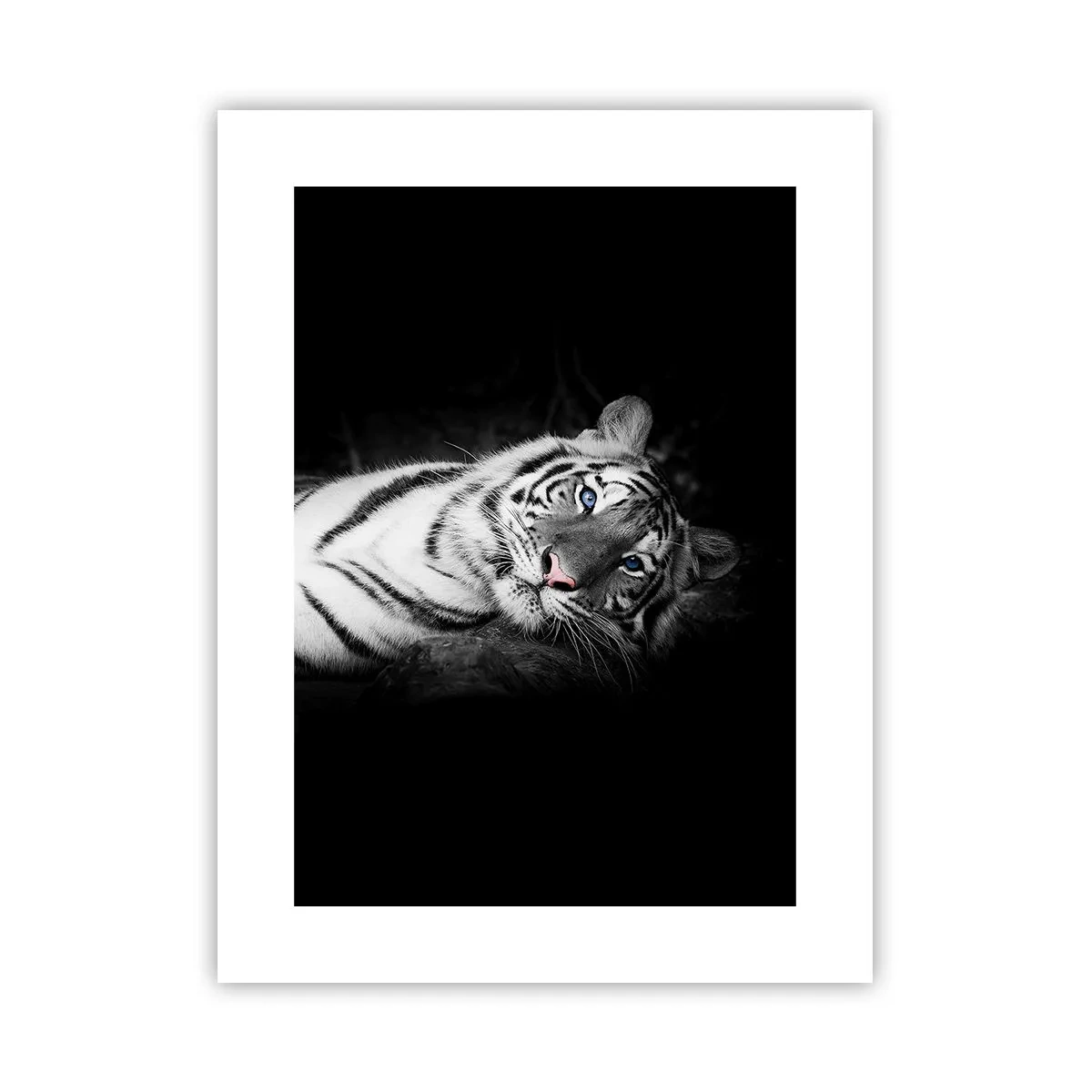 Affiche - Poster - Sauvagerie et paix - 30x40 cm