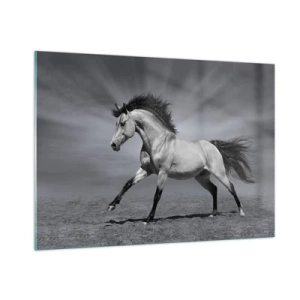 Impression sur verre - Image sur verre - Une photo en noir et blanc d'un cheval galopant dans un champ ouvert. - 100x70cm - Né pour séduire - Décoration murale moderne pour le salon et la chambre ARTTOR