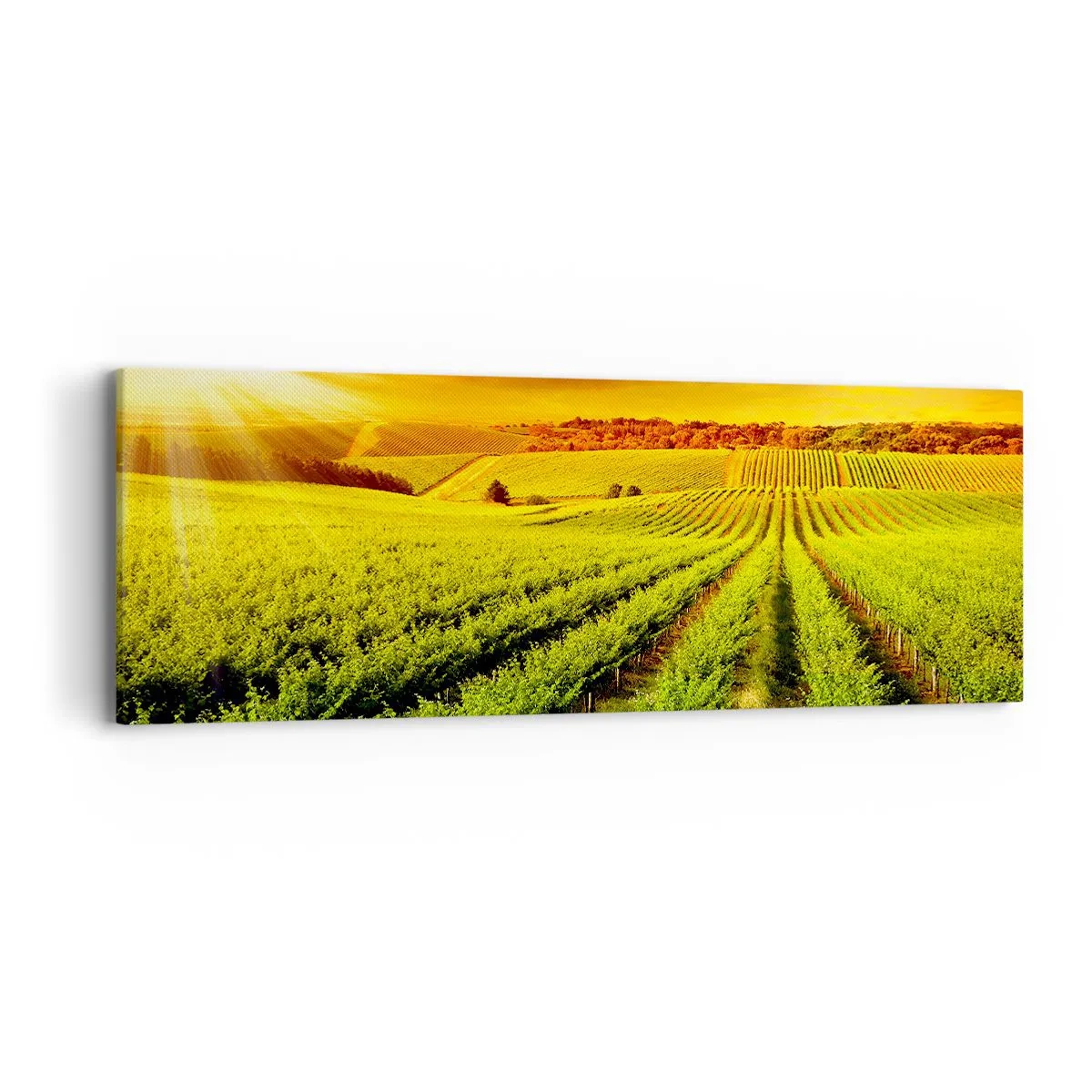 Impression sur toile - Image sur toile - Sous le soleil australien - 90x30 cm