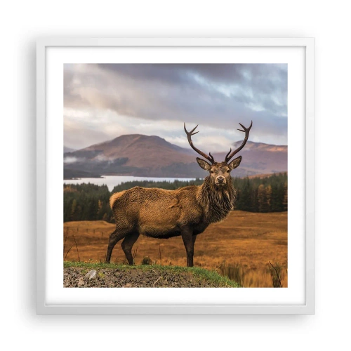 Affiche dans un cadre blanc - Poster - Majesté de la nature - 50x50 cm