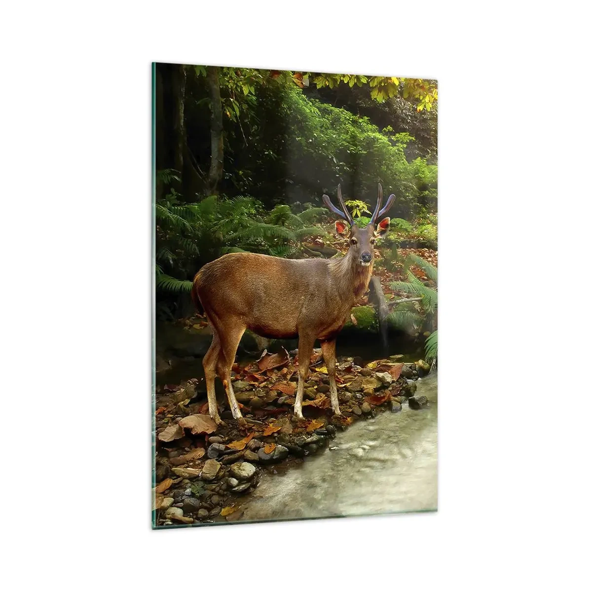 Impression sur verre - Image sur verre - Un cerf près d'un ruisseau entouré de verdure dans la forêt - 80x120cm - Bienvenue dans mon monde - Décoration murale moderne pour le salon et la chambre ARTTOR