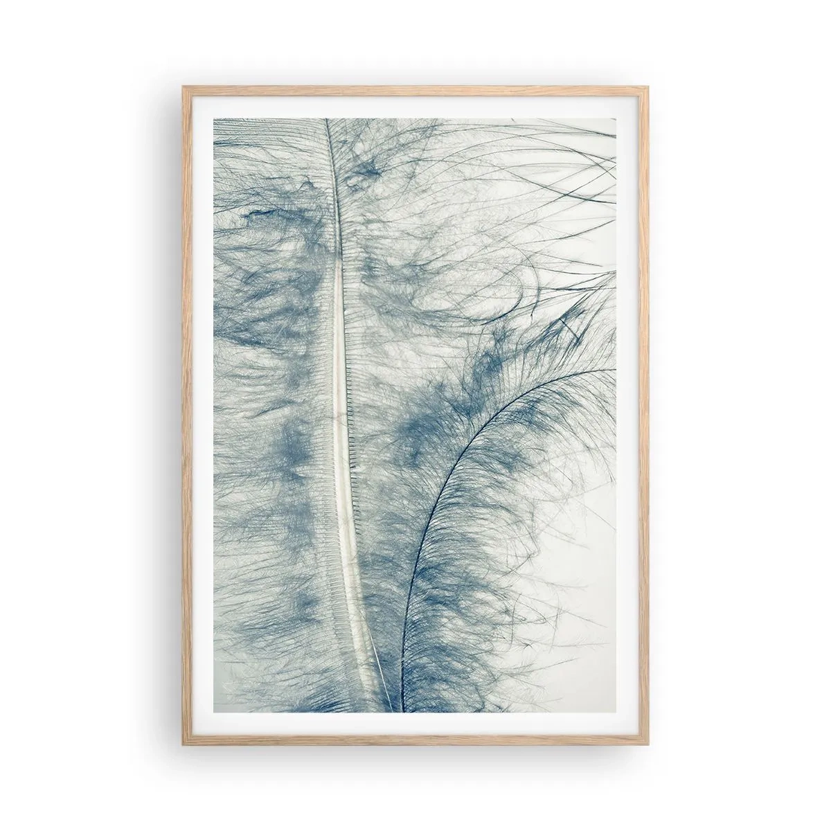 Affiche dans un chêne clair - Poster - Les sept natures - 70x100 cm