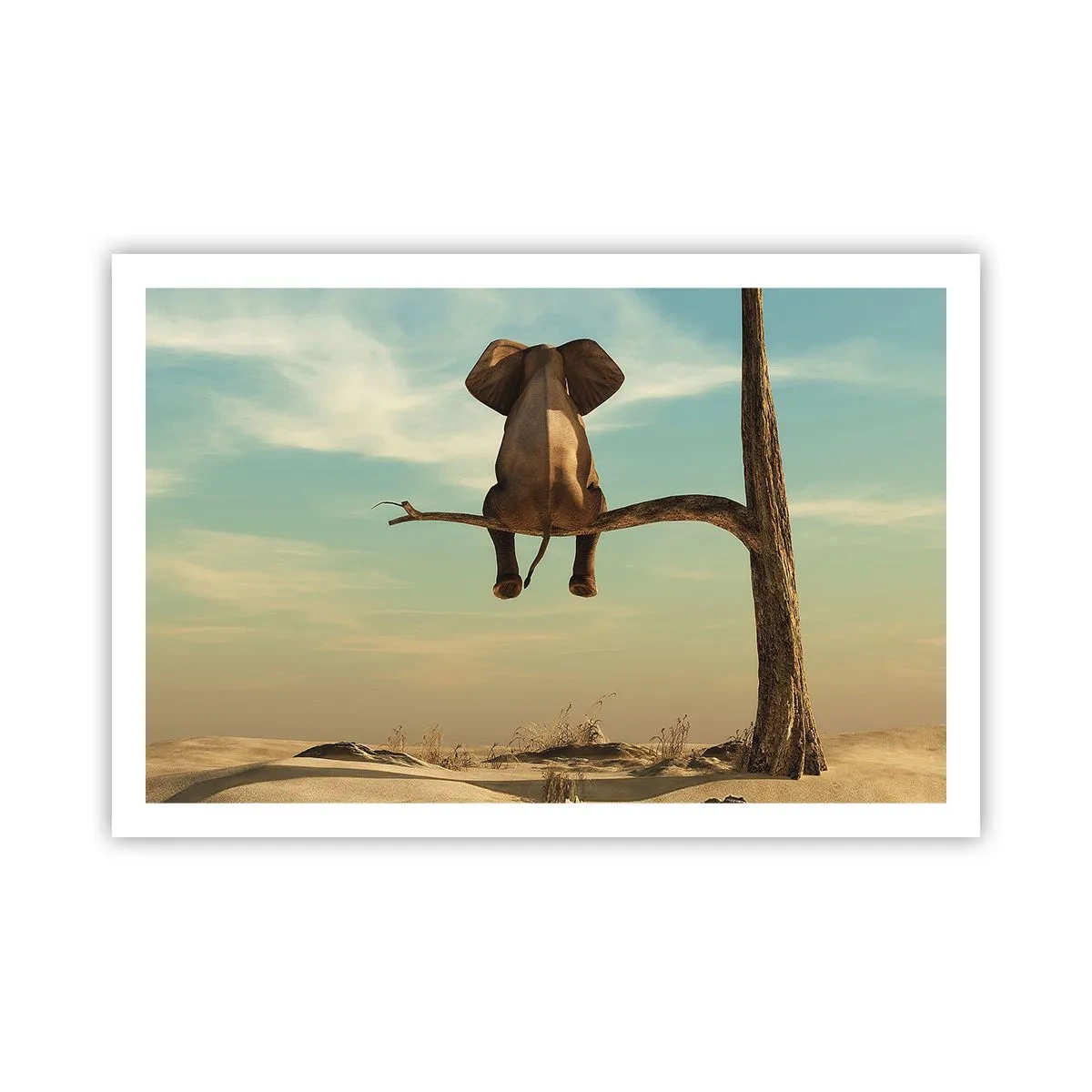 Affiche - Poster - Nouveau point de vue - 91x61 cm