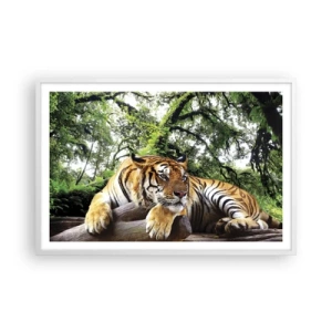 Affiche dans un cadre blanc - Poster - Cordialement - 91x61 cm