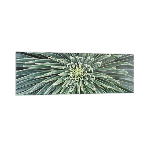 Impression sur verre - Image sur verre - Disposition symétrique de feuilles vertes ressemblant à une étoile - 160x50cm - Naissance d'une étoile - Décoration murale moderne pour le salon et la chambre ARTTOR