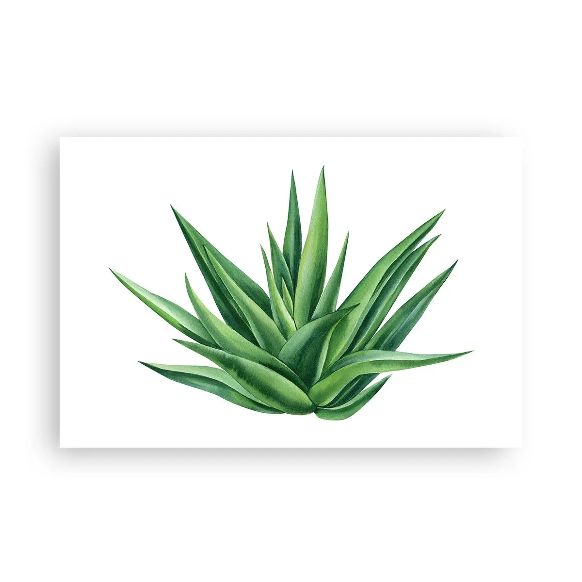 Affiche - Poster - Vert – force – vie - 91x61 cm