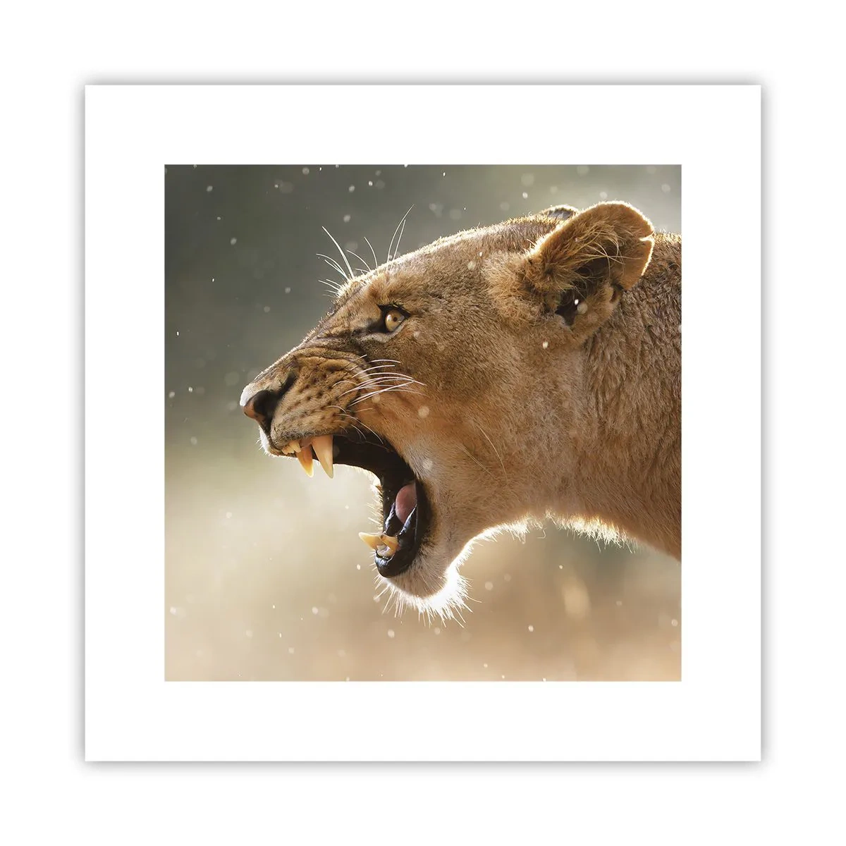 Affiche - Poster - Essayez  de ne pas écouter - 30x30 cm