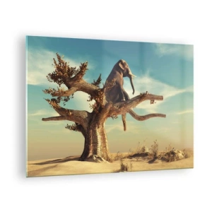 Impression sur verre - Image sur verre - Un éléphant assis sur un arbre sur fond de désert - 70x50cm - Nouveau point de vue - Décoration murale moderne pour le salon et la chambre ARTTOR