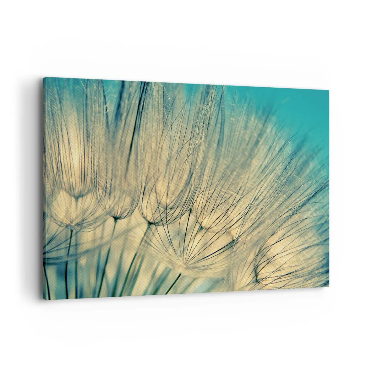 Impression sur toile - Image sur toile - Macrophotographie de pissenlits en plein jour - 120x80cm - En attente du vent - Décoration murale moderne pour le salon et la chambre ARTTOR