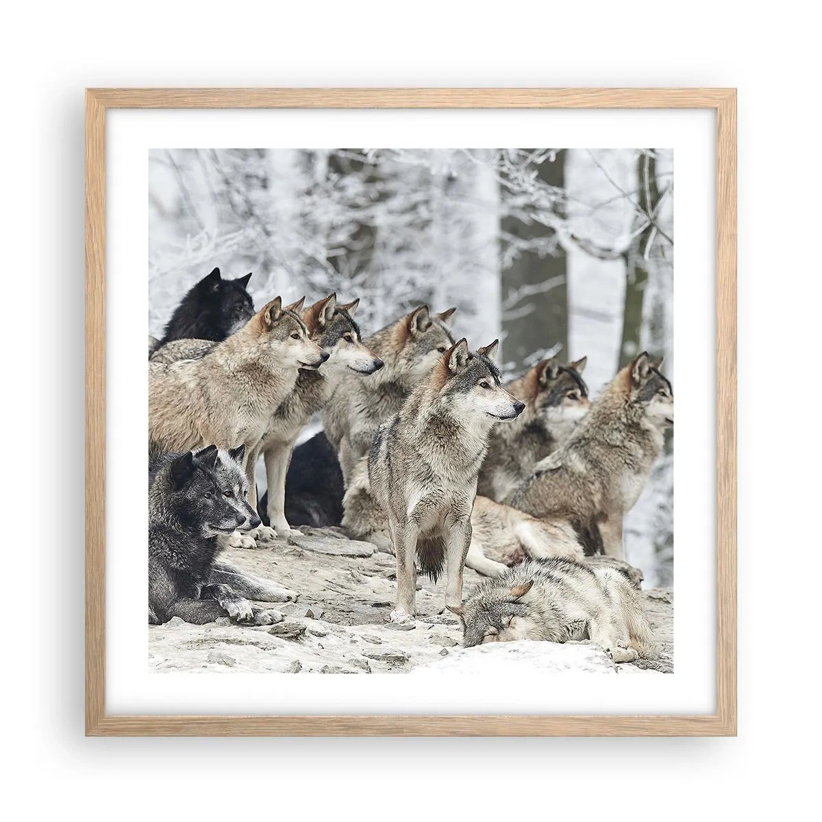 Affiche dans un chêne clair - Poster - Famille et amis - 50x50 cm