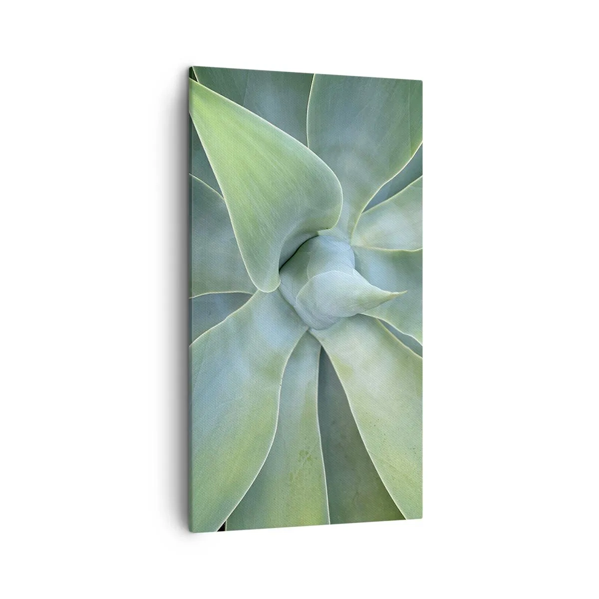 Impression sur toile - Image sur toile - La naissance de la verdure - 45x80 cm